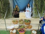 My Gallery (36/172)